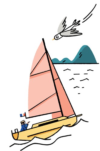 Illustration of a sailboat with pink sail and yellow hull on water with a seabird flying above.