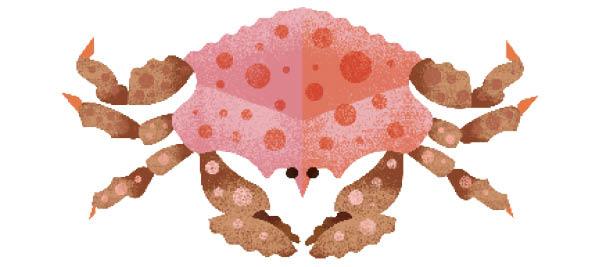 Illustration of a box crab with pink spotted shell and brown segmented legs