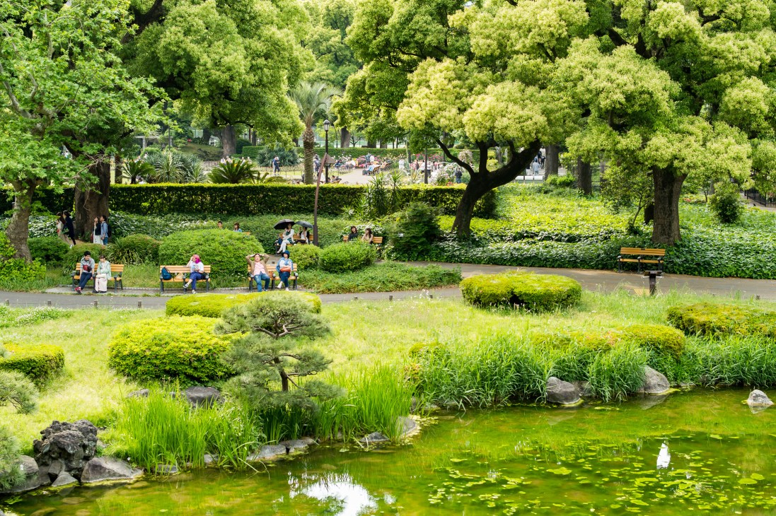 Lush green park with pond, manicured shrubs, tall trees, and visitors sitting on benches