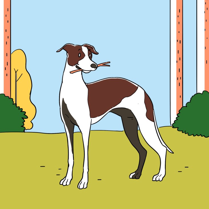 Illustration of a brown and white dog standing in a park with trees and buildings in the background.