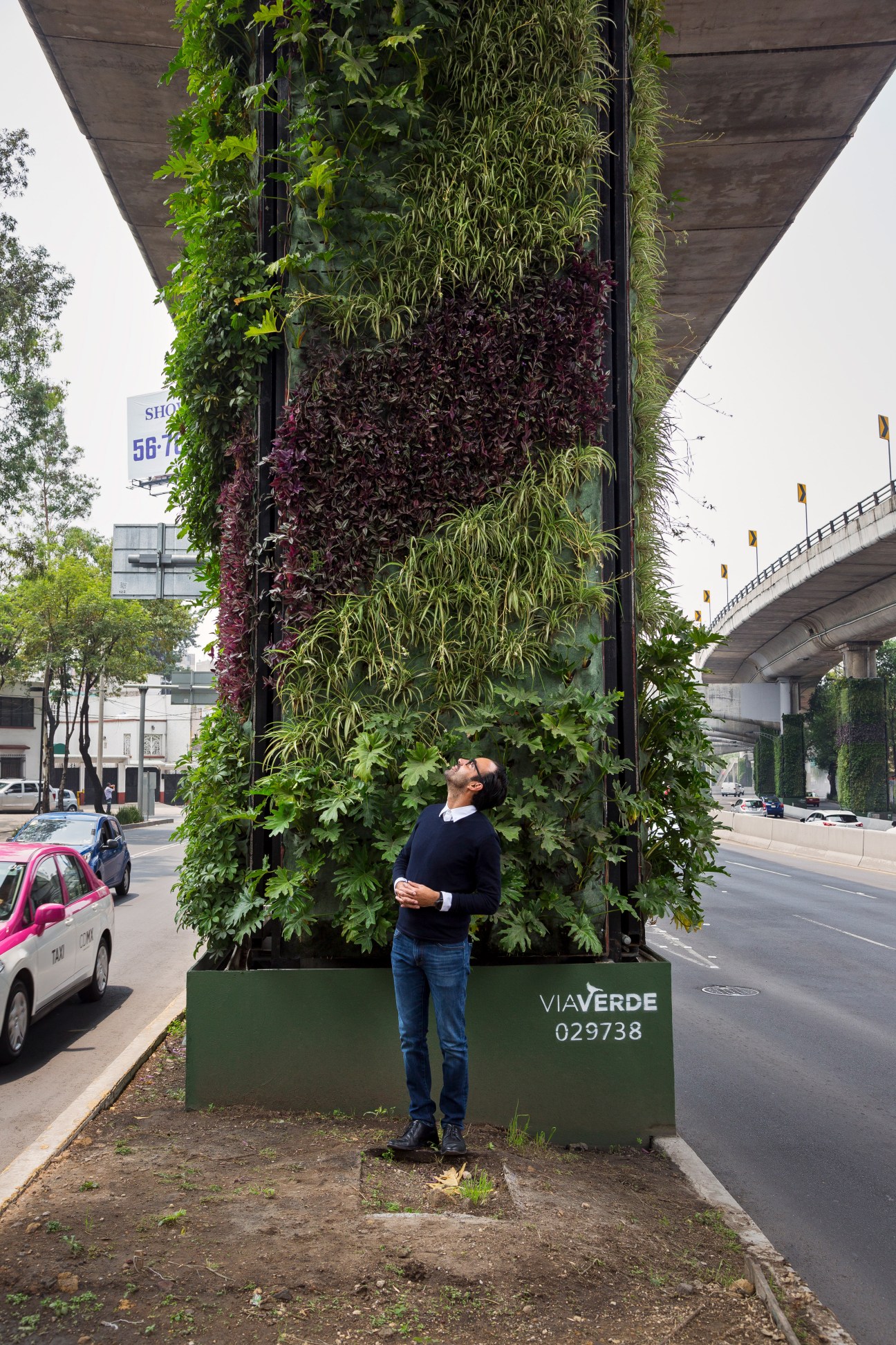 Fernando Ortiz Monasterio stands beneath a vertical garden covering a concrete pillar under a highway overpass in Mexico City.