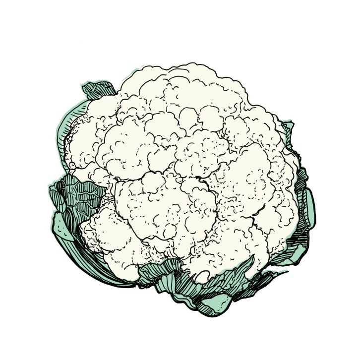 Illustration of a whole cauliflower with green leaves and white florets.
