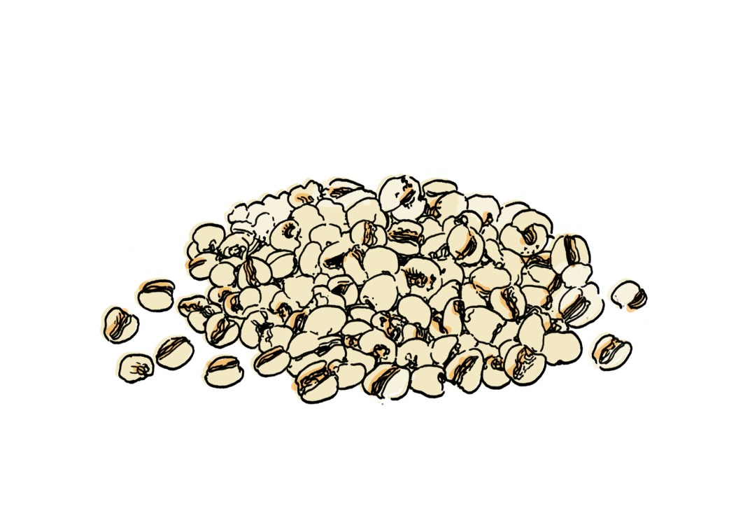 Illustration of spherical adlai grains with characteristic grooves and dents scattered on white background.