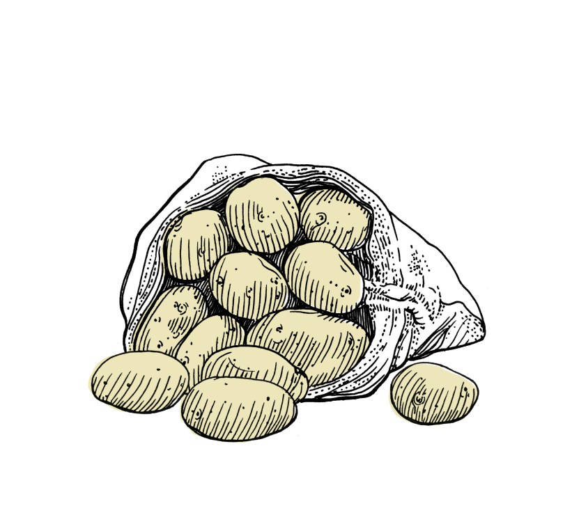 Illustration of potatoes spilling from a burlap sack.