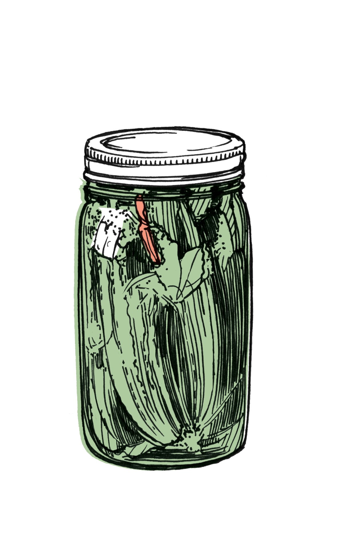 Illustration of a glass jar filled with green fermented vegetables and a metal lid.