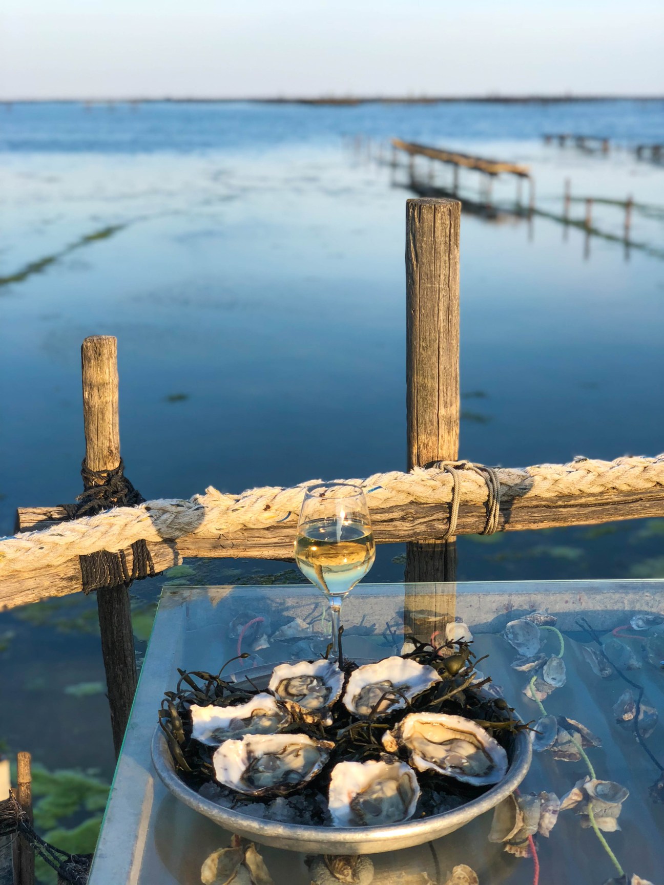 Oysters on a plate with white wine glass overlooking Domaine Tarbouriech's waterfront oyster farm in Marseillan.