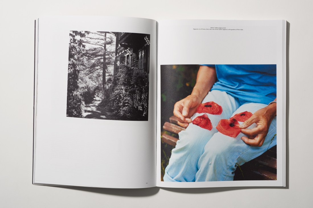 Open book spread showing black-and-white forest photograph on left page and color photograph of hands holding red poppies on right page.