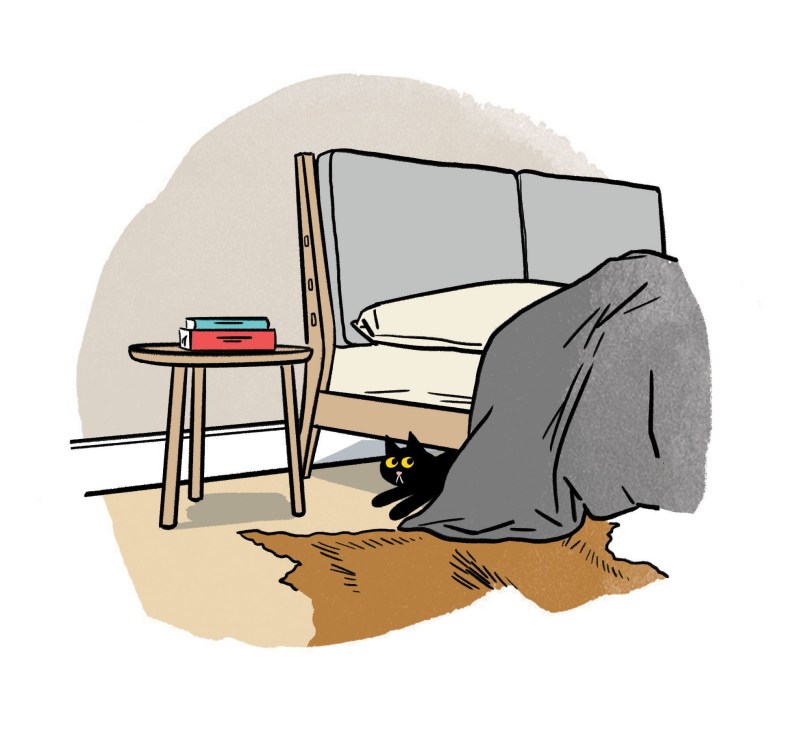 Illustration of a mid-century bedroom interior with a bed, side table, and black cat on a wooden floor.