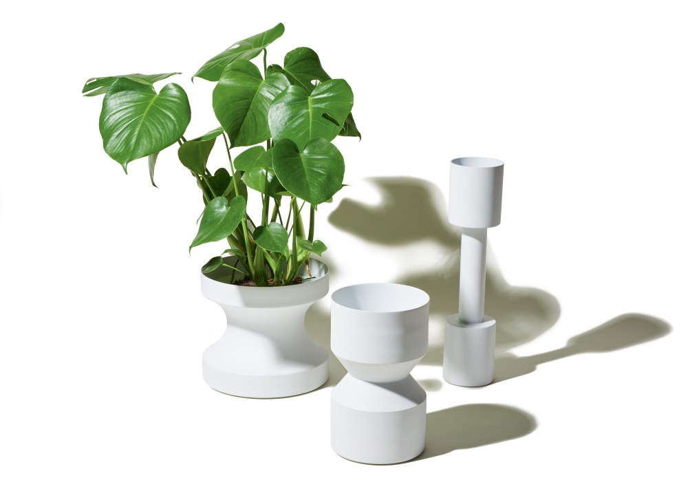 Three white minimalist vases of varying heights with a potted plant featuring green leaves.