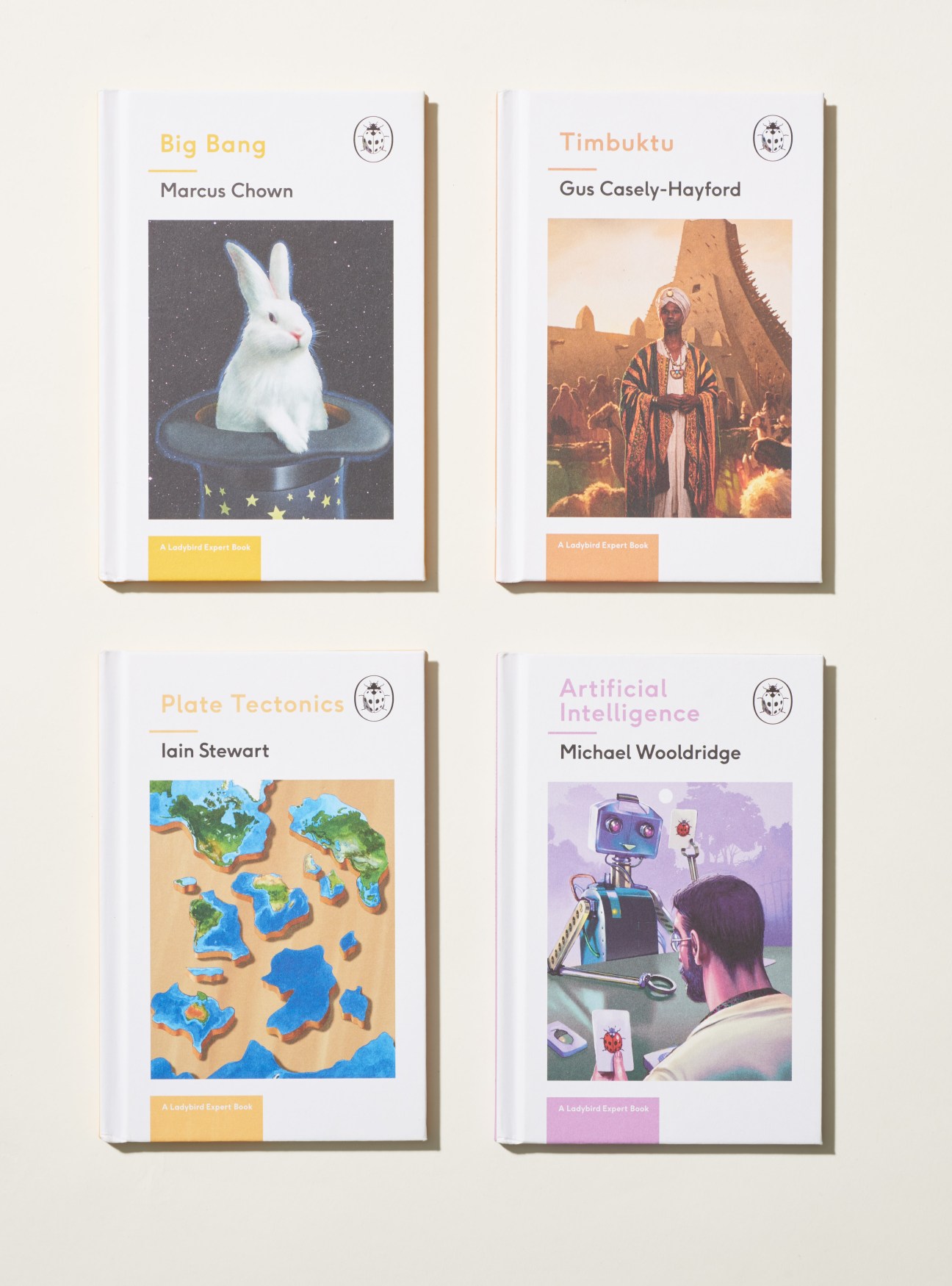 Four Ladybird Expert series books displayed showing colorful illustrated covers including Big Bang, Timbuktu, Plate Tectonics, and Artificial Intelligence.