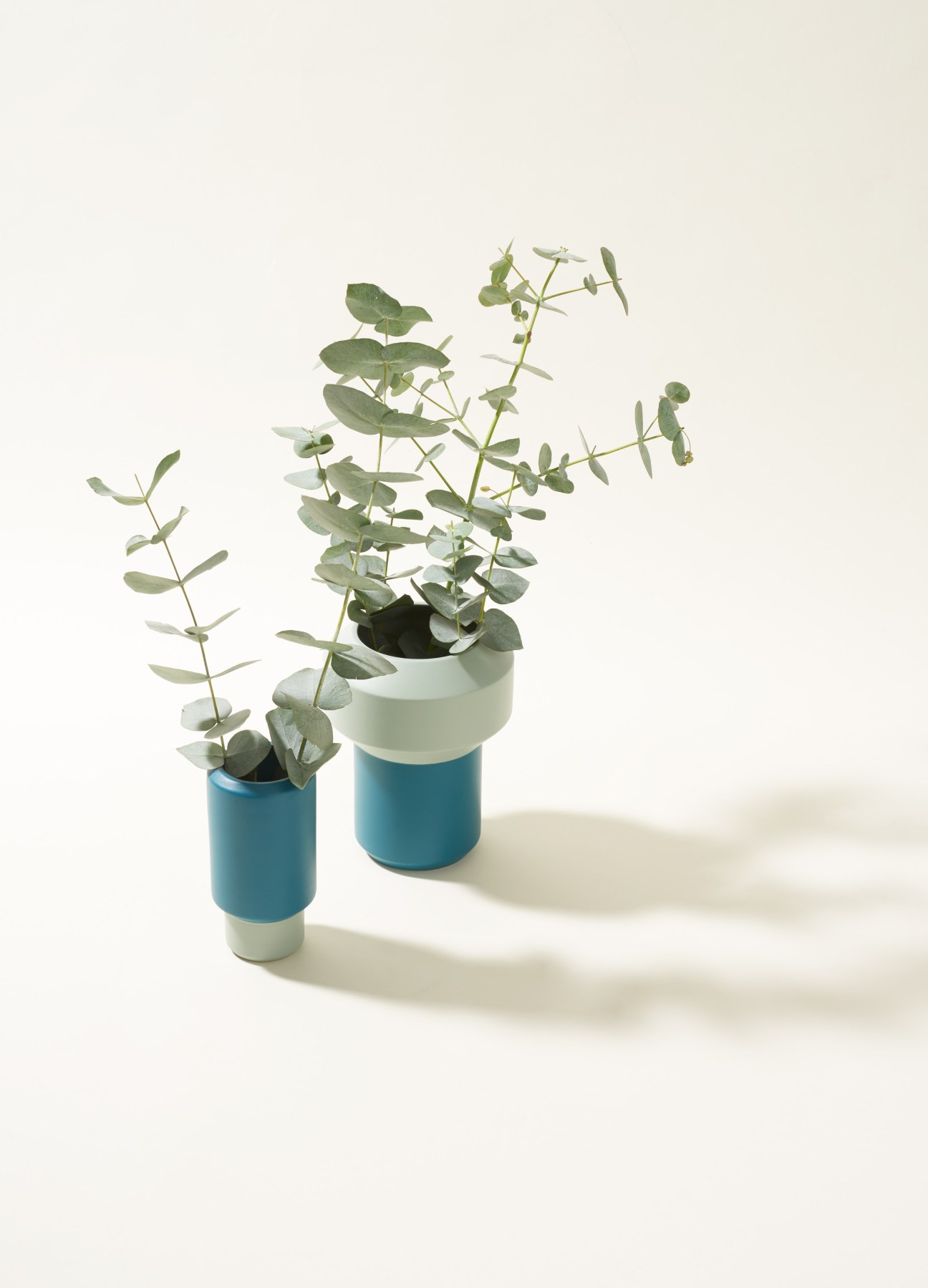 Two ceramic vases with blue and cream-colored sections containing green eucalyptus branches.