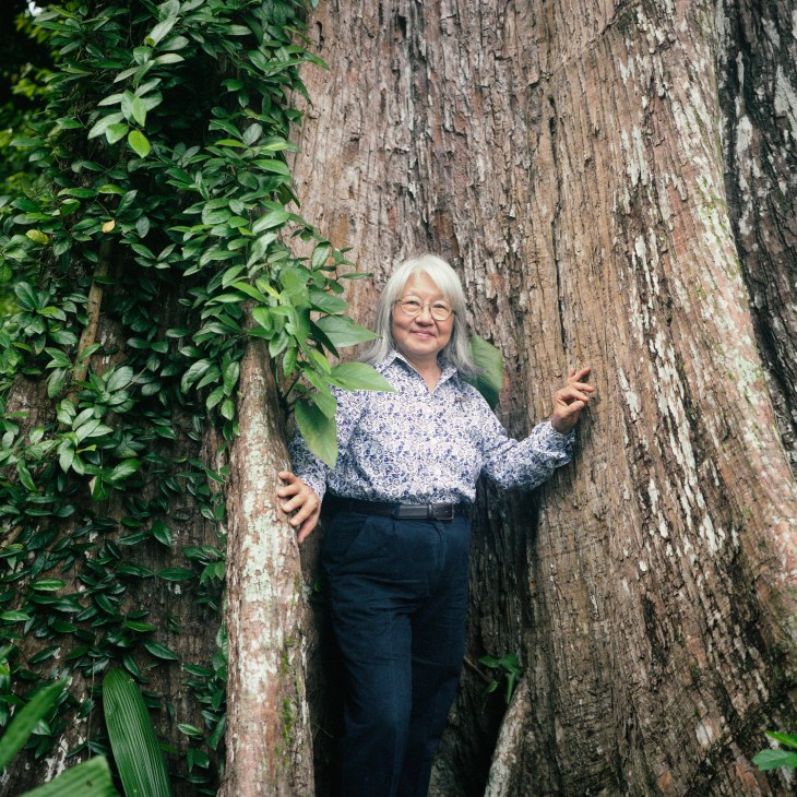 Dr Lena Chan, director of Singapore's National Biodiversity Centre, standing between tree trunks with climbing vines.