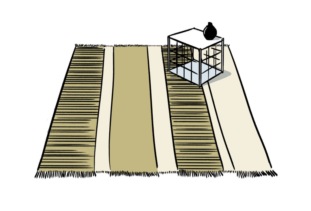 Illustration of a flat-woven rug with geometric striped pattern in earth tones and a small cube-shaped object on top.