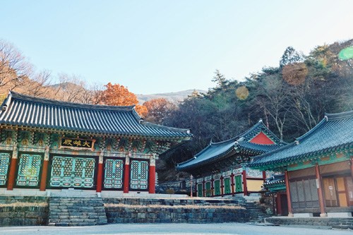 Jeungsimsa Temple in Gwangju with traditional Korean architecture and lush surrounding forest.