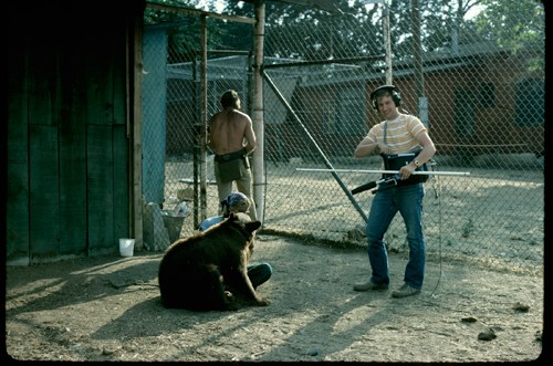 A bear sits on the ground in an enclosure while a handler stands nearby with a stick.