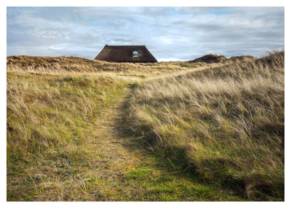 Thatched-roof cottage in a windswept coastal landscape with tall beach grasses.