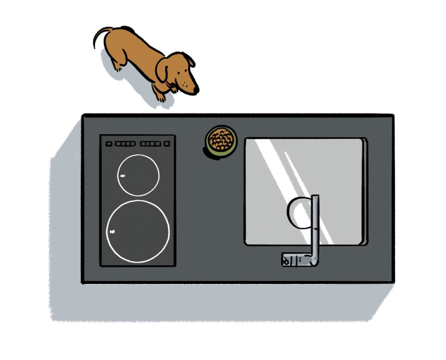 Illustration of a compact kitchen unit with appliances and a dog above it.