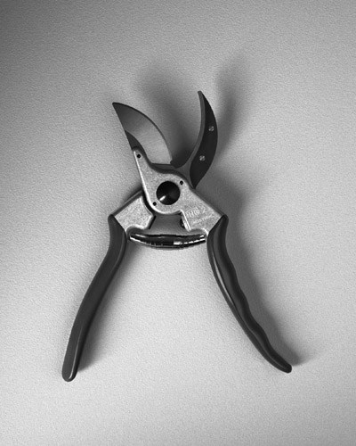 Felco No. 2 Original secateurs with red handles displayed against a white background.