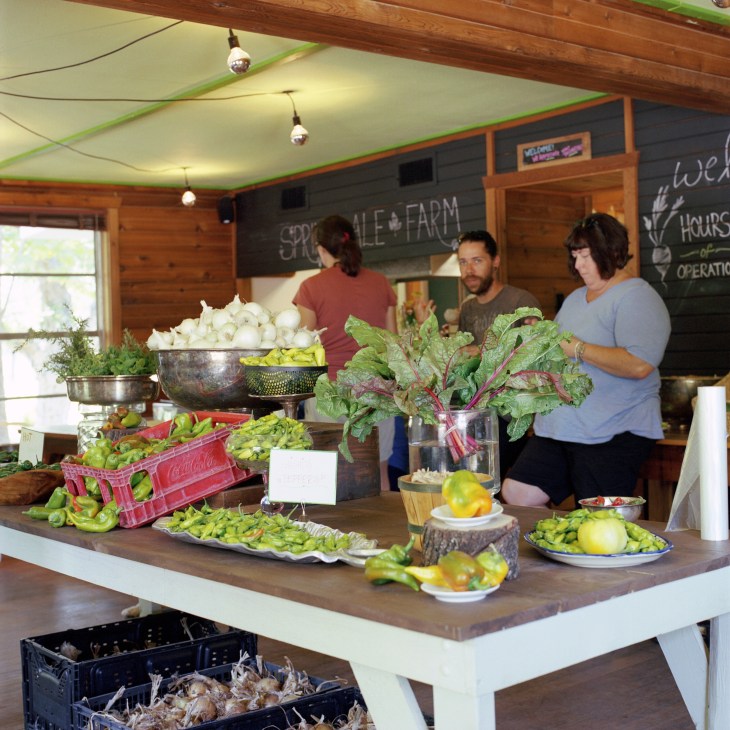 Produce for sale at Springdale Farm farmers market with fresh vegetables displayed on wooden counter.