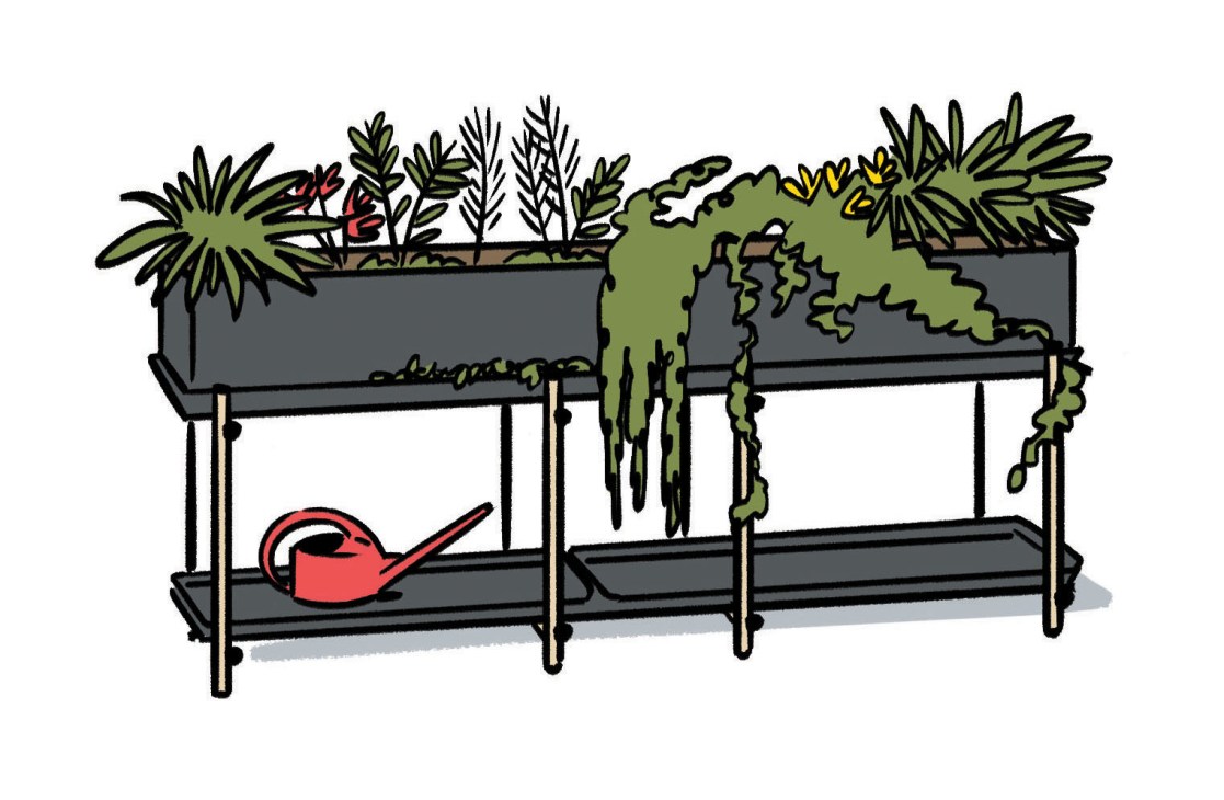 Illustration of Stelz shelving system with multiple tiers holding potted plants and a red watering can.