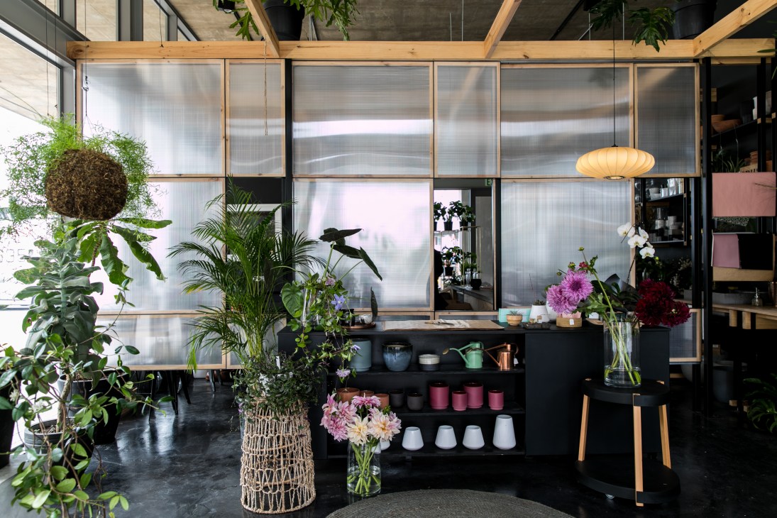 Opus Studio storefront displaying hanging plants and flowers with wooden framed windows and black shelving.