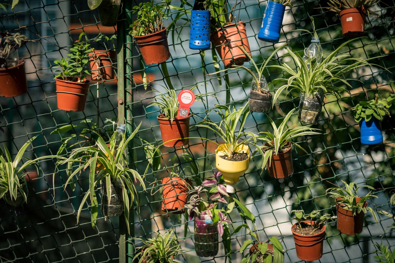 plant pots