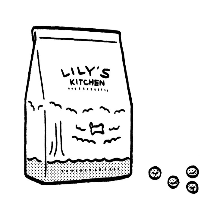 Lily's Kitchen dog food bag with illustrated dog face and scattered kibble pieces