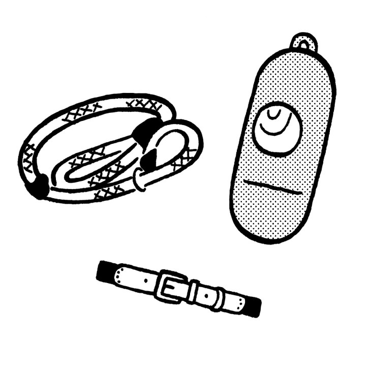 Illustration of dog walking accessories including a collar, leash, and waste bag dispenser in black and white line art