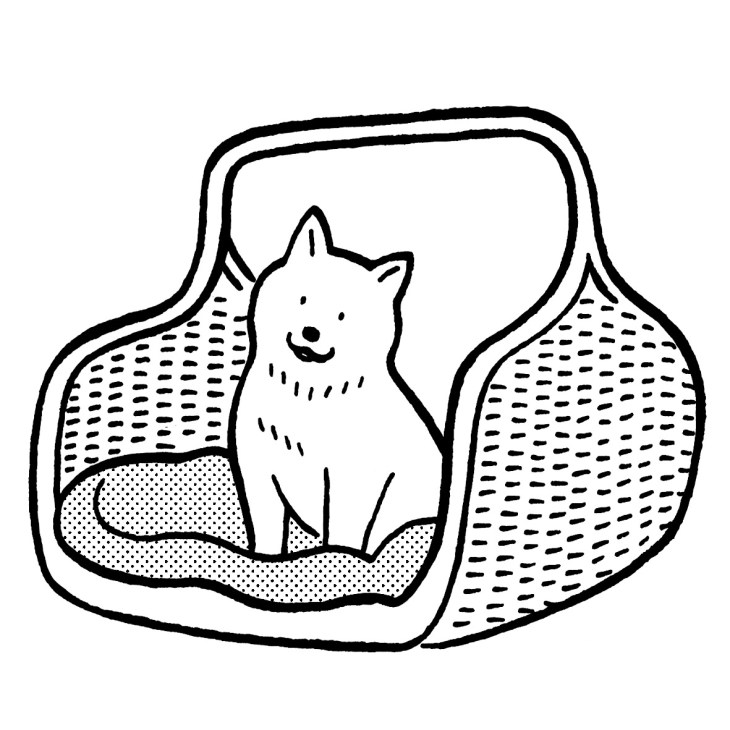 A woven rattan dog basket with handle and cushioned interior, the Sfera Snooze Junior bed