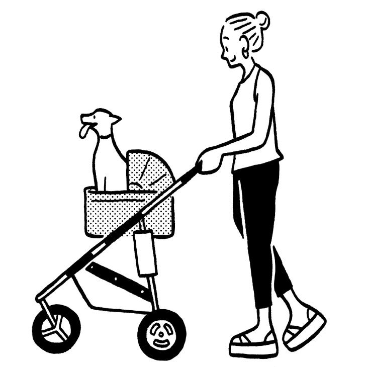 Woman pushing dog stroller with small dog inside