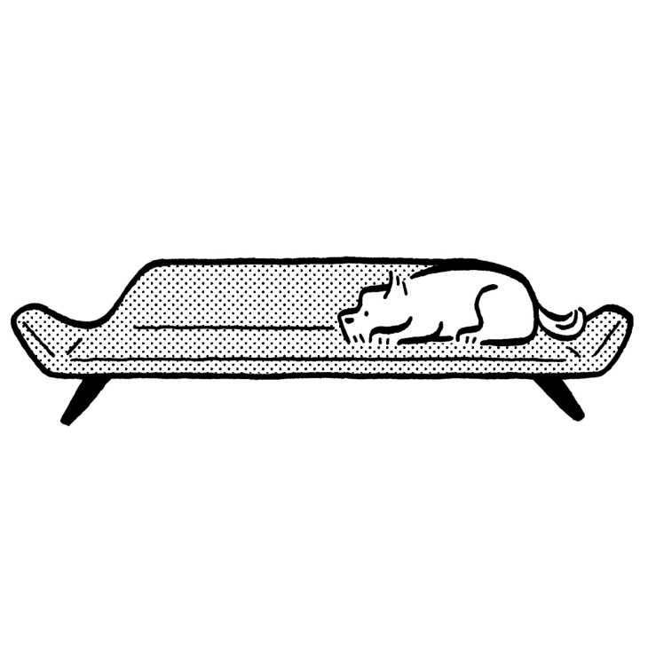 MiaCara Letto daybed with dog lying on modern Scandinavian-style furniture piece