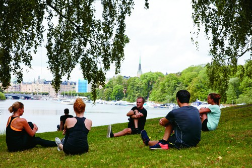 Group of runners exercising outdoors in a park during autumn morning in Stockholm.