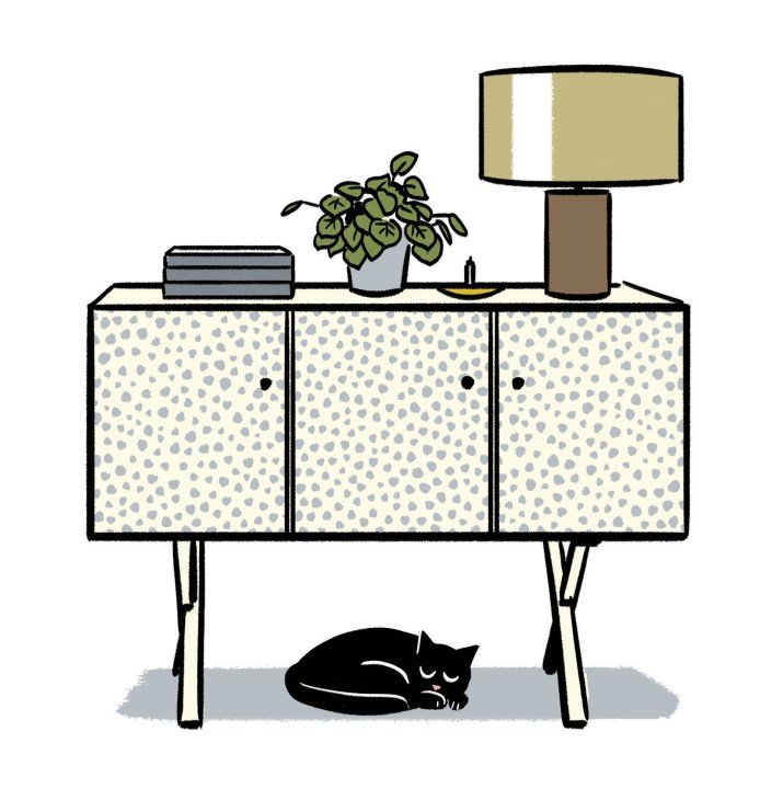 Illustration of a mid-century sideboard with patterned cabinet doors, displaying books, a potted plant, and a table lamp, with a black cat sleeping beneath.