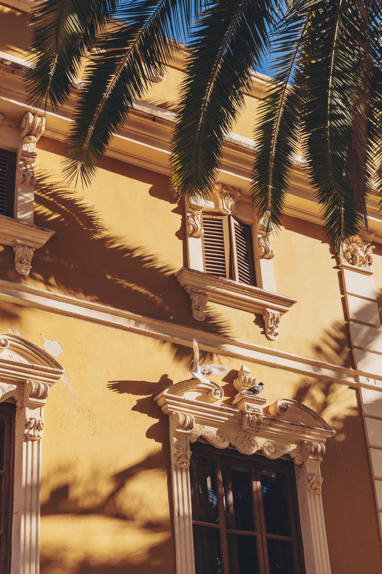 Historic yellow building facade with ornate architectural details and palm fronds casting shadows