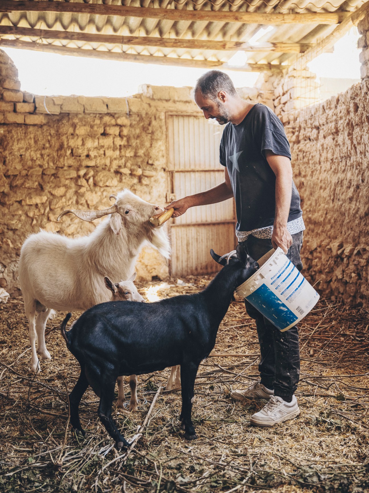 Comedian Quique Macías feeding bread to goats in a stone-walled rural courtyard