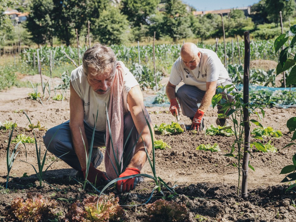 Two elderly men working in organic vegetable gardens in Muimenta, Galicia