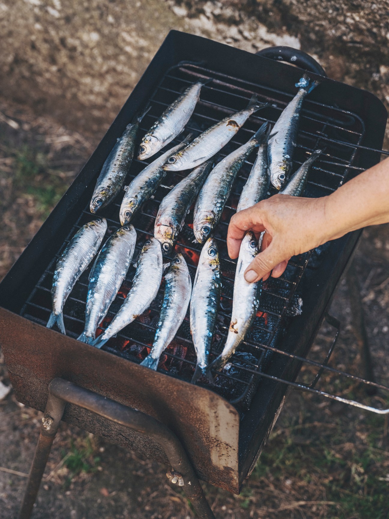 Fresh fish being grilled on a barbecue grill with a hand reaching to arrange them