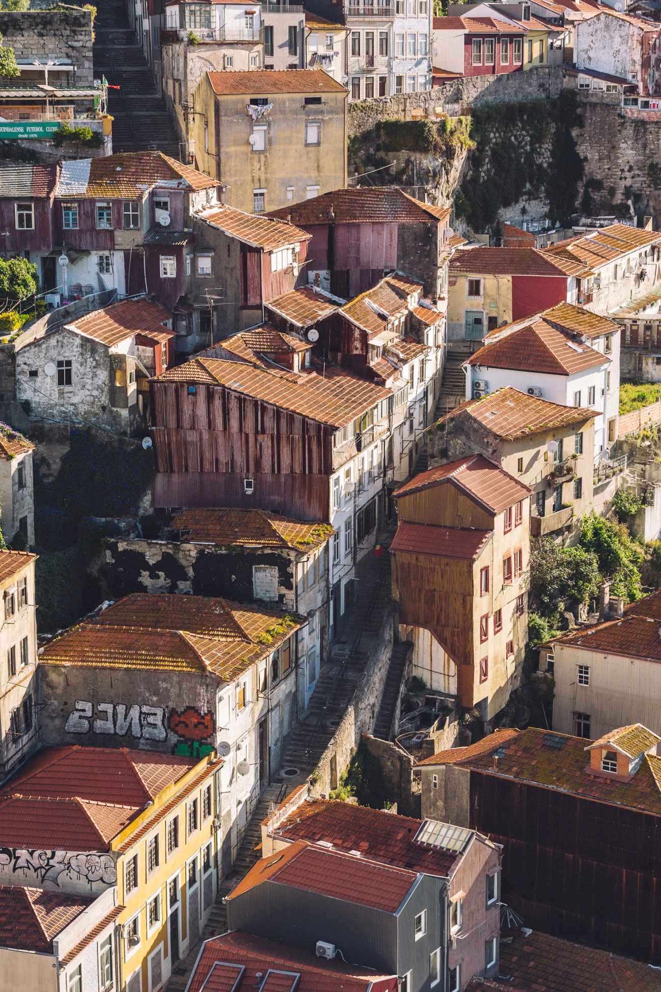 Aerial view of Porto's historic residential buildings with terracotta and golden tiled roofs stacked densely together.