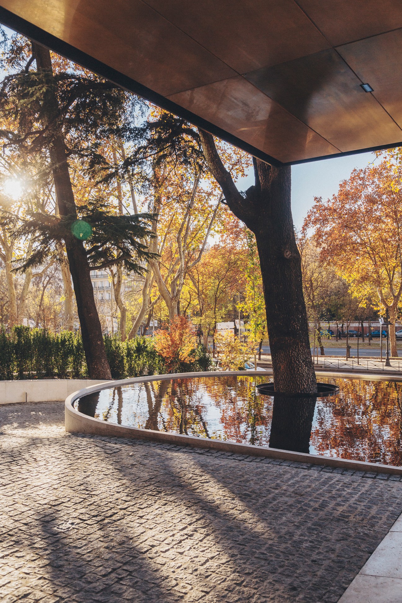 Modern hotel pavilion with reflecting pool and tree viewed through stone archway in autumn