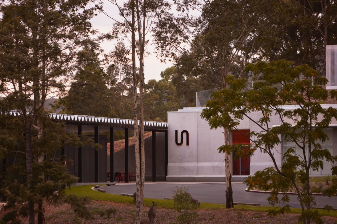 Modern concrete museum building with bridge-like structure extending from hillside surrounded by trees