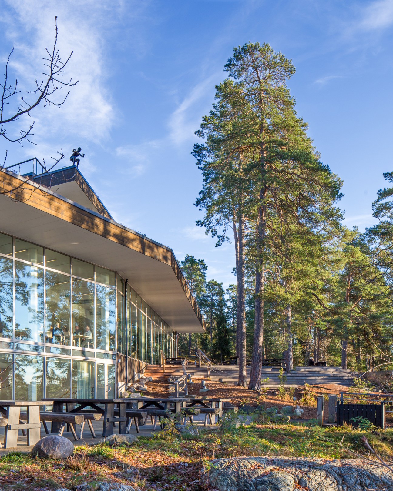 Modern glass building with terrace surrounded by tall pine trees in natural forest setting