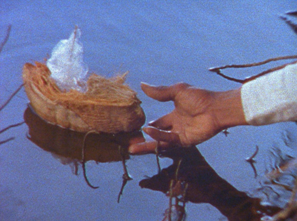 Hands reaching toward a woven basket floating on blue water surface