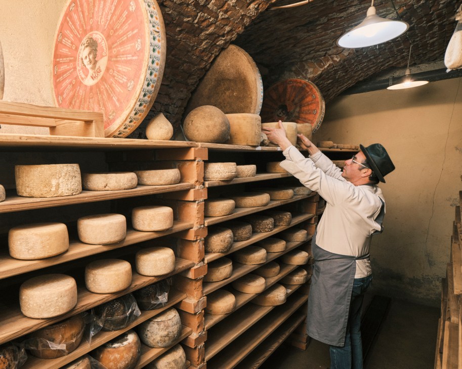 Eros Buratti reaching for cheese wheels on wooden shelves in his traditional aging cellar