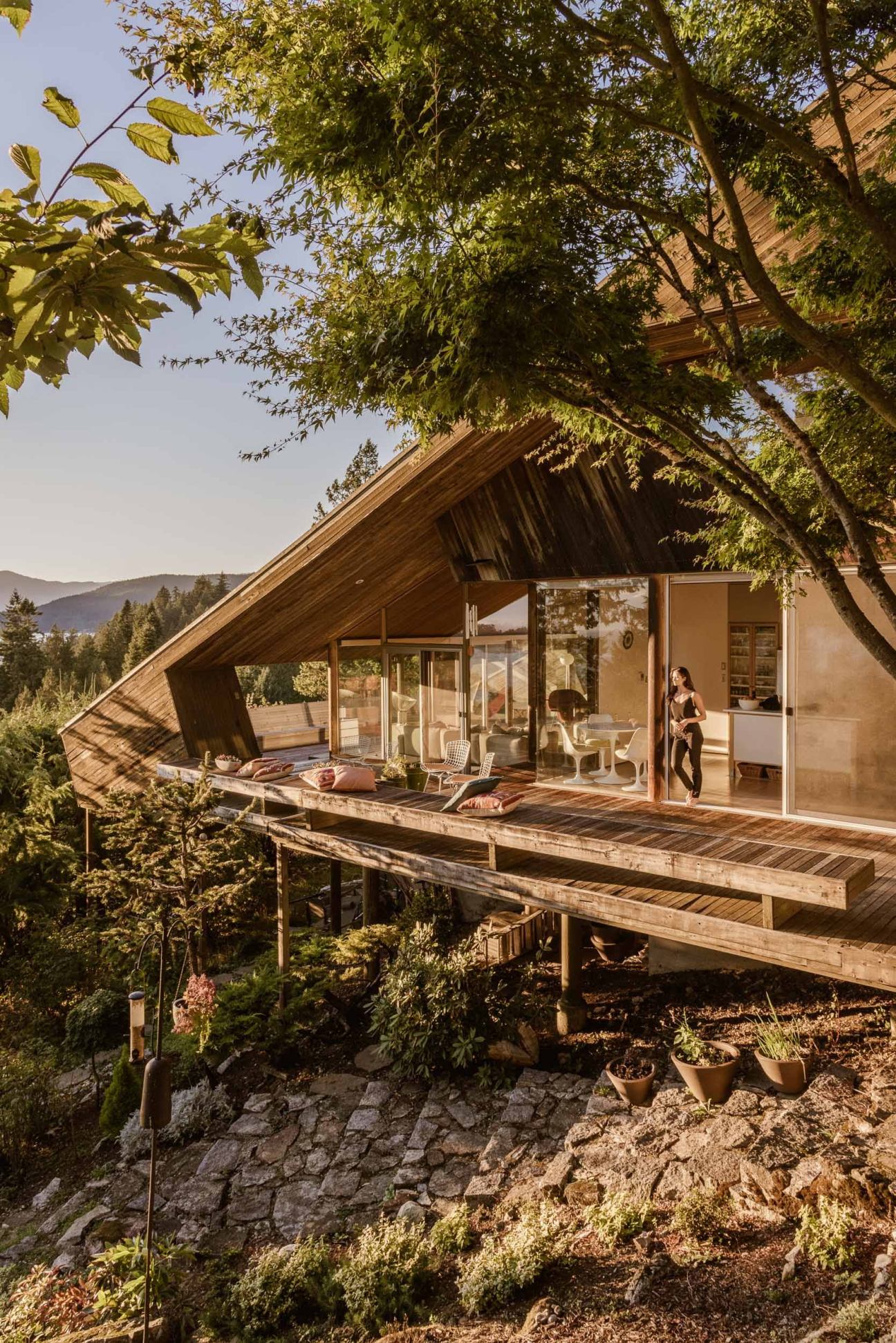 Modern wooden house with angular roof and glass walls elevated on stilts among trees