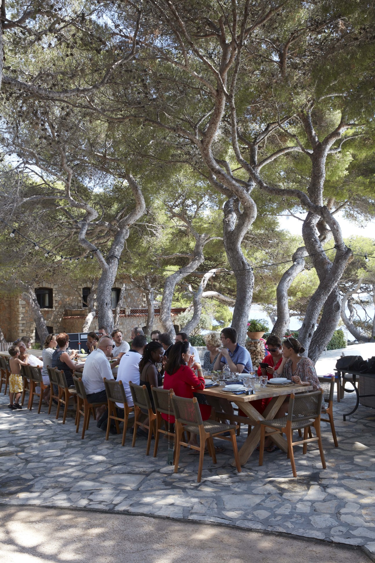 Outdoor dining scene with people seated at wooden tables under twisted pine trees on a stone terrace