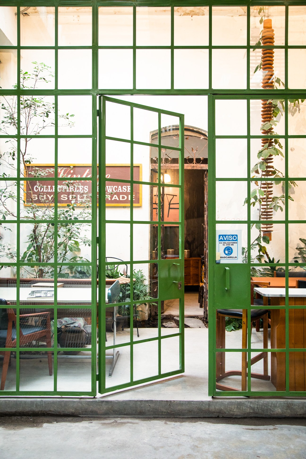 Interior of Decada's design studio with green metal grid windows, plants, and furniture displays