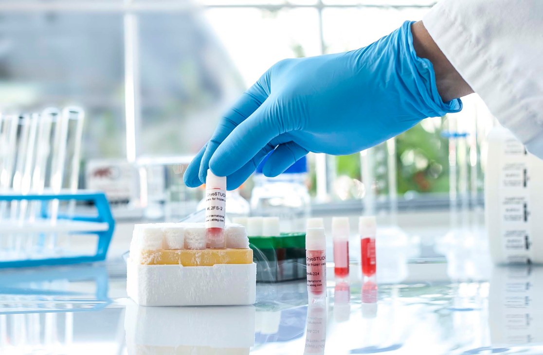 Gloved hand holding a cryogenic label on a test tube in a laboratory setting with samples visible.