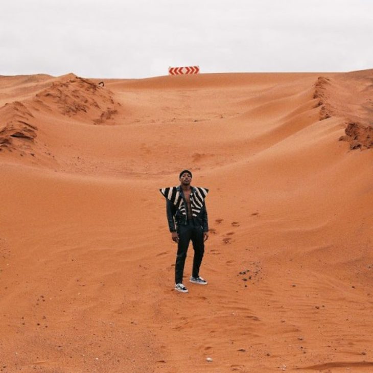Person wearing striped jacket stands in desert landscape with red and white chevron pattern in sky