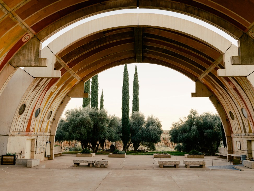 Arched wooden vault with concrete benches overlooking olive trees and cypress trees in the desert landscape at Arcosanti.
