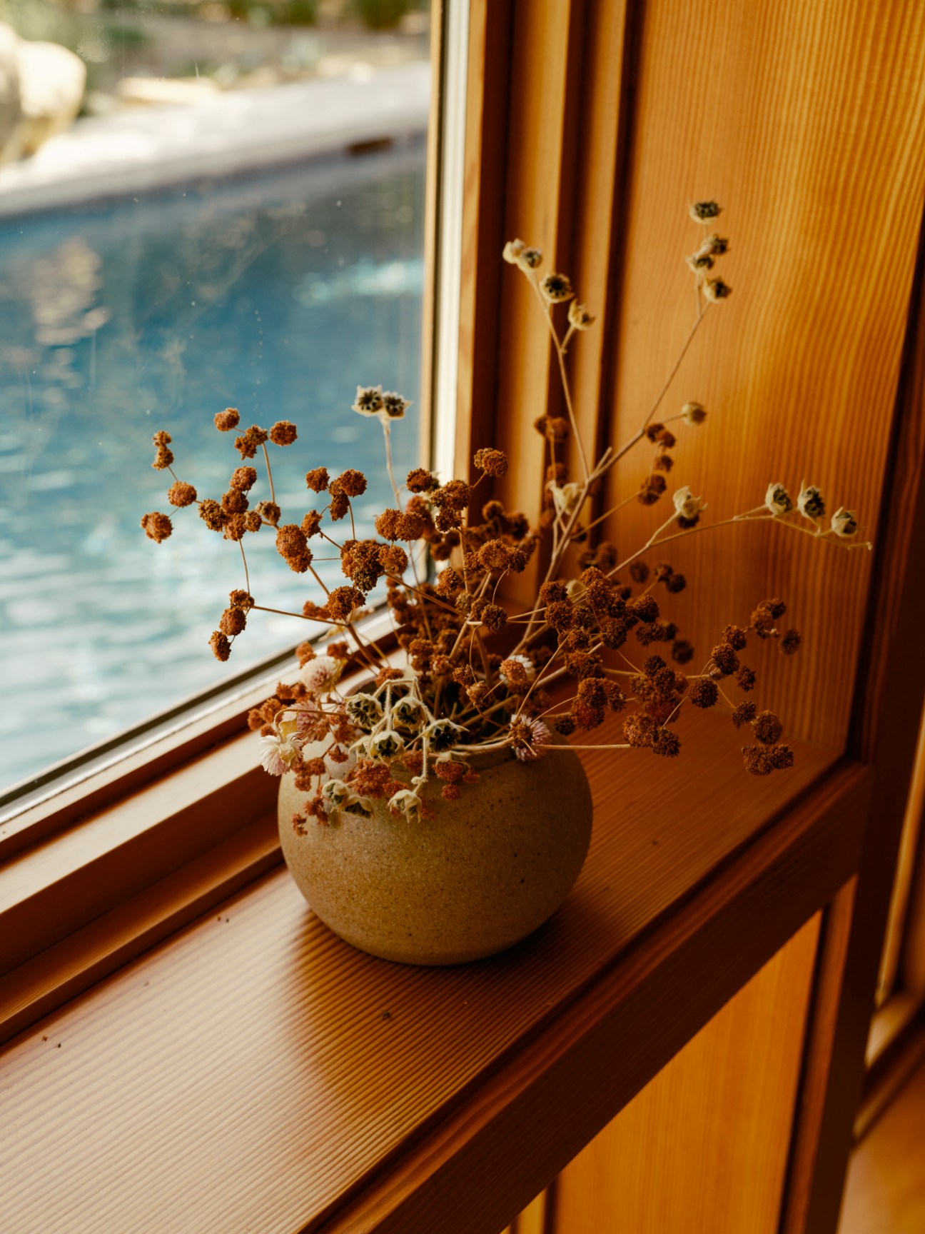 Ceramic vase with dried wildflowers on wooden windowsill overlooking water view